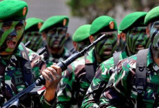  3 Tahun, TNI Pecat 254 Oknum Prajurit Terlibat Narkoba