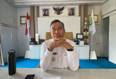  Jadwal Lelang Jabatan Eselon II: Begini Kata Bupati Kepahiang Zurdi Nata 