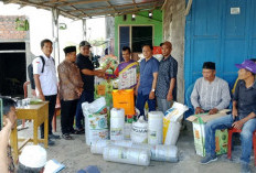 Bagikan Bibit Cabai Rawit, Program Ketahanan Pangan Desa Talang Tige TA 2024