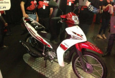 Spesifikasi Lengkap Motor Terbaru Yamaha Spark 115i