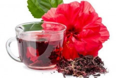 4 Manfaat Teh Hibiscus Bagi Kesehatan 