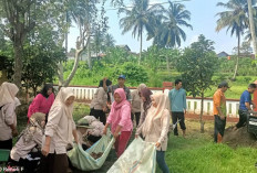 PKK Raflesia Gotong Royong Membuat Kebun PKK Desa