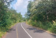 Jalan Menyemak Dikeluhkan Pengendara