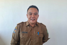 Payment Pembayaran Gaji Honorer Lulus PPPK Segera Diperiksa