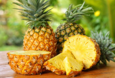Anda Harus Tahu, Ini 4 Khasiat Nanas Madu