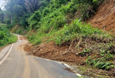 5 Titik Longsor di Jalan Dusun Kepahiang-Tebat Monok Menutupi Setengah Badan Jalan