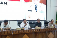 Pemprov Bengkulu akan Gelar Aksi Serentak Tanam Pohon Akhir Desember