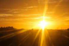 Berapa Lama Berjemur saat Pagi Hari untuk Hasilkan Vitamin D: Begini Penjelasannya!