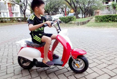 Meski Sering Dirawat: Ternyata Usia Pakai Motor Listrik Tidak Begitu Panjang