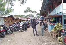 Diburu Pengunjung Wisata, Mie dan Kopi Laris Manis di Kebun Teh Kabawetan Kepahiang