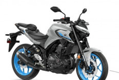 Ini Perbandingan Yamaha MT-03 dan Kawasaki Z250: Mana yang Lebih Baik? 