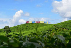 10 Wisata di Provinsi Bengkulu Cocok untuk Libur Lebaran