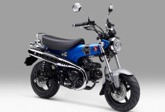 Edisi Khusus Honda Dax KUBO Dirilis