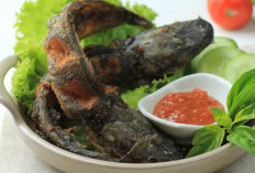 14 Manfaat Ikan Lele untuk Kesehatan, Tak Hanya Lezat