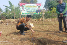 Desa Permu Bawah Siap Swasembada Jagung