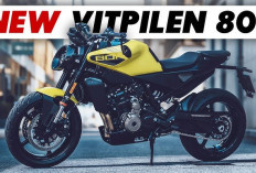 Sepeda Motor Husqvarna Vitpilen 801 MY2025 