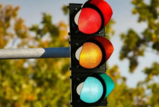  Jangan Sampai Tak Tahu: Ini 3 Arti Warna pada Lampu Lalu Lintas atau Traffic Light