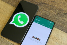  Mudah! Begini Cara Scan Dokumen Langsung di WhatsApp 