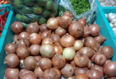  Lebih dari Penambah Rasa, Ini 7 Manfaat Bawang Bombay bagi Kesehatan