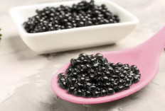  Manfaat Caviar Bagi Tubuh, Jaga Fungsi Otak hingga Jantung