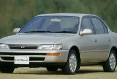 TERBARU! Ini Mobil yang Disuntik Mati oleh Toyota 2025 