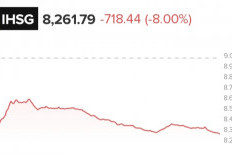 5 Tips Menyikapi Kondisi Pasar Saham Trading Halt Agar Tidak Mengalami Kerugian