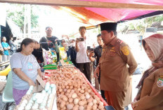 Wagub Mian Pantau Harga dan Stok Bahan Pokok 