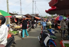 Penyebab PKL Berjualan di Trotoar Pasar Pagi Kepahiang 