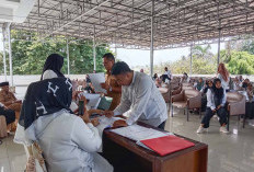 285 Honorer DPRD Provinsi Bengkulu Terima SK, Gaji Dipercepat