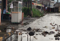 Warga Kepahiang Keluhkan Drainase Jalan Nasional Tidak Berfungsi, Air Masuk Rumah