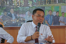 Pemkab Benteng Resmi Terapkan Outsourcing, Dilakukan Bertahap 
