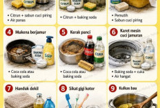 Ibu-ibu Wajib Simpan! 9 Trik Bersih-bersih Rumah Praktis Gunakan Bahan Dapur 