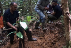 Lebih Dari Setahun, Jenazah Korban Pembunuhan Ini Baru Ditemukan