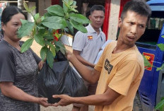 Program Ketahanan Pangan, Pemdes Sosokan Cinta Mandi Bagikan Bibit Durian dan Alpukat