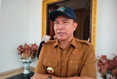 Juluk Anggaran Pusat: Bupati Kepahiang Zurdi Nata Bakal 'Show' ke Kementrian 