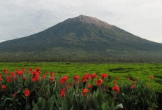 5 Destinasi Wisata Gunung Tertinggi di Indonesia, Apa Saja?