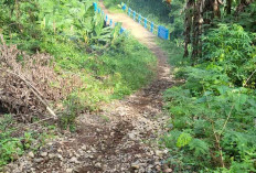 Belum Tersentuh Pembangunan, Jalan Antar Dusun di Desa Talang Sawah Jadi Keluhan Warga