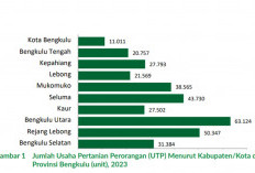 UTP dan RTUP Bengkulu Mengalami Peningkatan