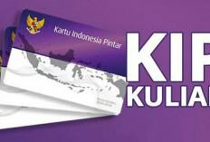 Pendaftaran KIP Kuliah 2024 Dibuka hingga 31 Oktober 2024, Ini Syarat-Syaratnya