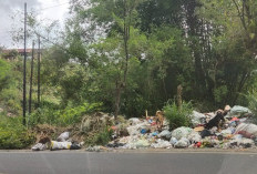 Atasi Soal Sampah, Desa Daspetah Butuh Bak Sampah