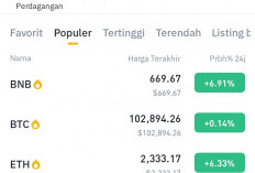 Pasar Kripto Kembali Menghijau: Ini yang Harus Dilakukan Trader Agar Cuan Maksimal