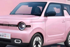 Geely Panda Mini 2025: Mobil Listrik Mini dengan 4 Kursi, Harga Rp100 Jutaan