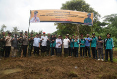 Sambangi Enggano, Gubernur Rohidin Tinjau Pembangunan Jalan hingga Buka Lahan Persawahan Baru