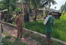 Program MT-II Berlanjut, Disperkan Susun Jadwal Tanam