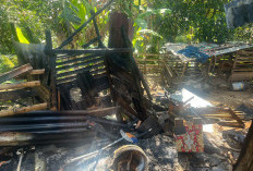 Dapur Warga di Kepahiang Nyaris Ludes Terbakar: Penyebabnya Hal Sepele