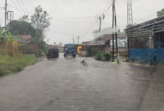Jalan Lintas Kabupaten Kepahiang Terendam Banjir: Akibat Curah Hujan Tinggi & Tanpa Drainase 