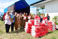 Distankan Bagikan 30 Ton Bibit Jagung Hibrida Unggul