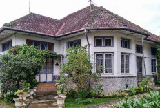 Tanpa Dilengkapi AC, Rumah Peninggalan Belanda Tetap Terasa Dingin: Ini Penyebabnya
