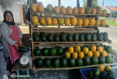 Berkah Ramadan, Penjual Semangka Suro Lembak Raup Ratusan Ribu per Minggu