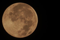 Bulan Terlihat Kembar, Ini Waktu Penampakannya dan Penjelasannya